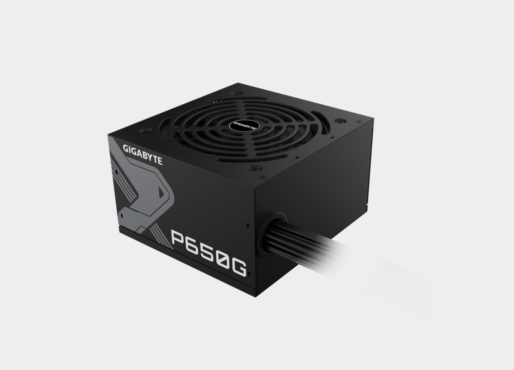 GIGABYTE P650G Power Supply