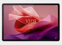 Lenovo Tab P12 TB370RU ACC 8G 256GGR EG PEN