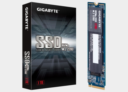 [GP-GSM2NE3100TNTD] GIGABYTE M2 2280 1TB NVMe