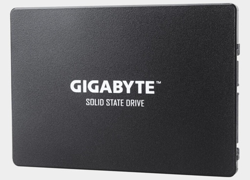 [GP-GSTFS31100TNTD] GIGABYTE SSD 2.5 INCH 1TB 