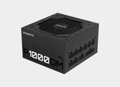 [P1000GM] GIGABYTE P1000GM Power Supply